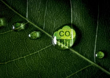 Bureau Veritas z akredytacją CAI w zakresie weryfikacji śladu węglowego