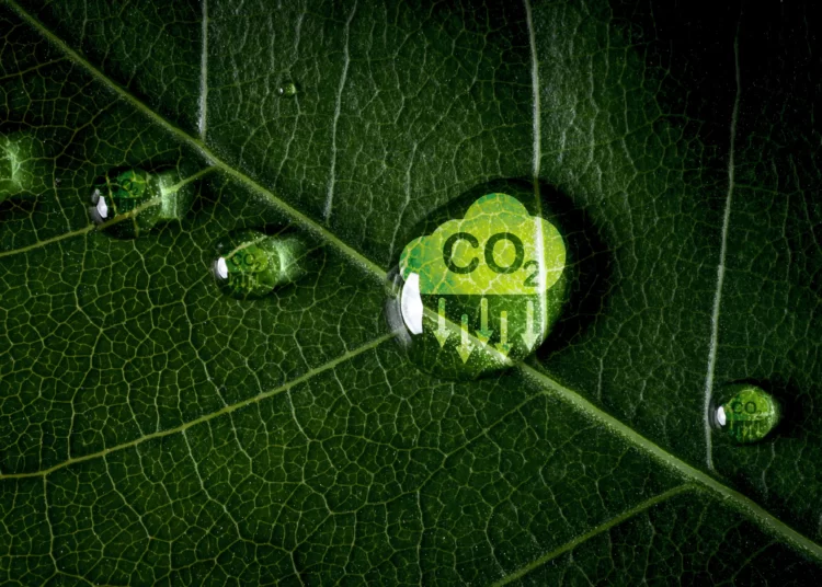 Bureau Veritas z akredytacją CAI w zakresie weryfikacji śladu węglowego